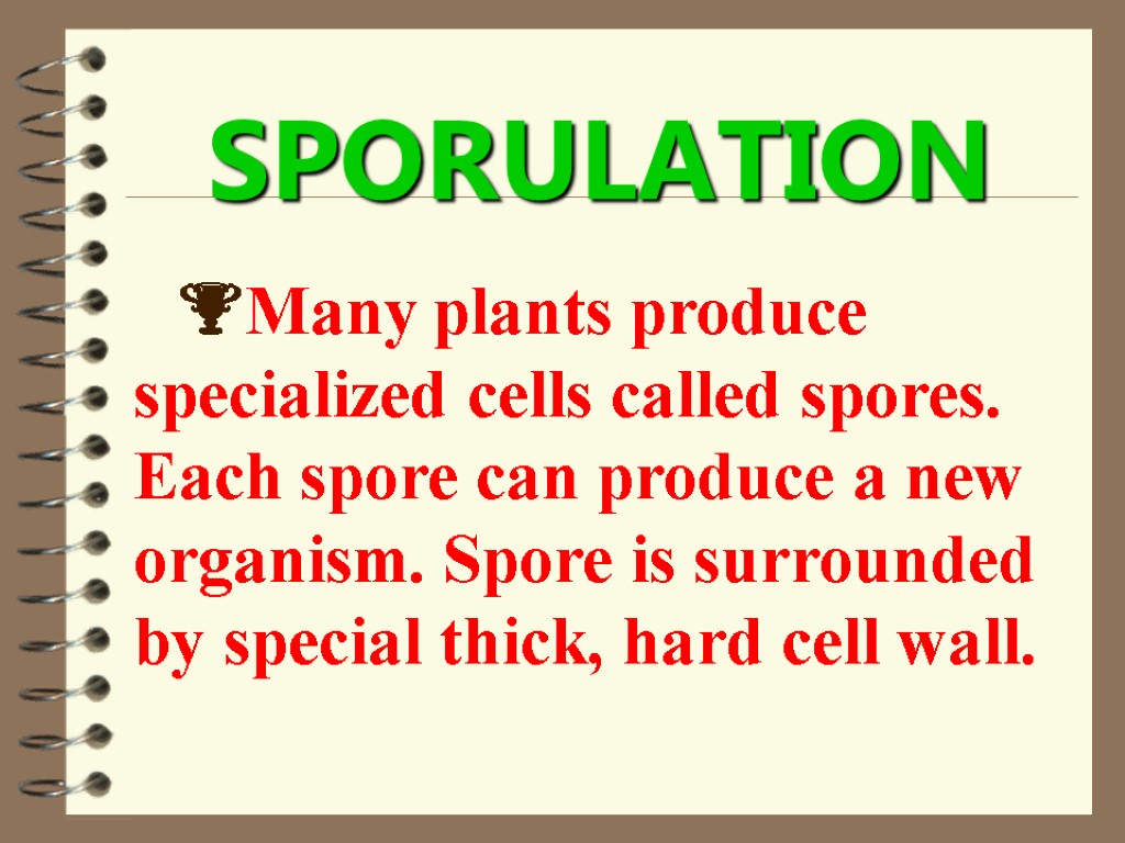 SPORULATION Many plants produce specialized cells called spores. Each spore can produce a new